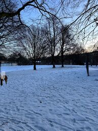 Winterbild_Januar_2026