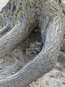Klicken zum Vergrößern Klicken zum Vergrößern